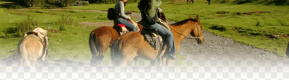 Passeio A Cavalo Pousada Dos Pescadores Passeio A Cavalo, Woman, Shoe, Person, Footwear Png Image