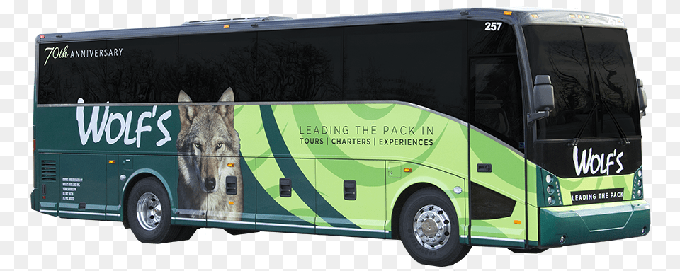 Passenger From Side Bus, Transportation, Vehicle, Tour Bus, Animal Png