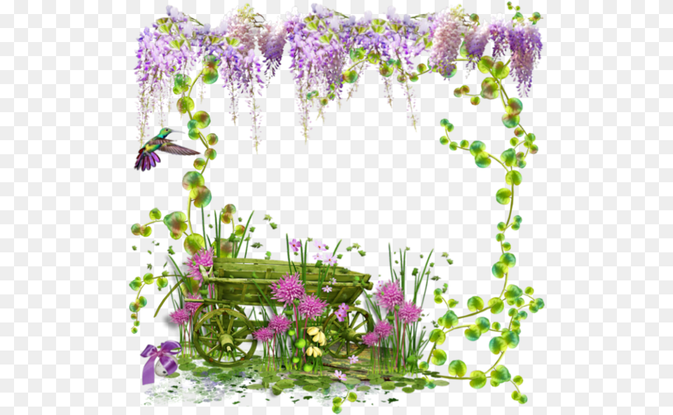 Passion Flower, Purple, Plant, Flower Arrangement, Pattern Free Png