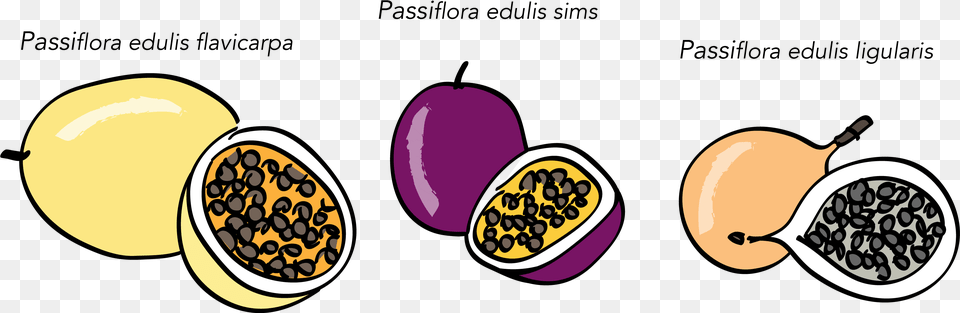 Passion Fruits Portable Network Graphics, Food, Fruit, Plant, Produce Png Image