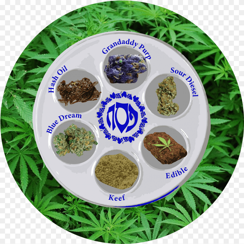 Passover And 4, Herbal, Herbs, Plant, Plate Free Transparent Png