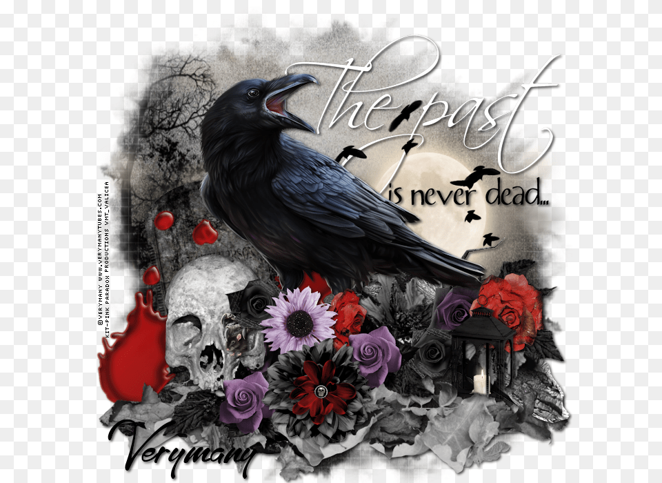 Past Is Never Dead Raven, Art, Graphics, Animal, Bird Png