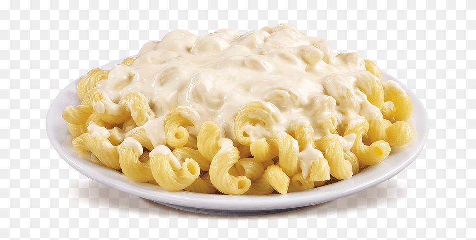 Pasta, Food, Plate, Macaroni, Mac And Cheese Free Png