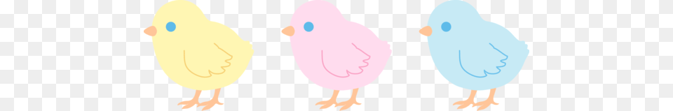 Pastel Clipart Cute, Animal, Bird, Fowl, Poultry Free Transparent Png