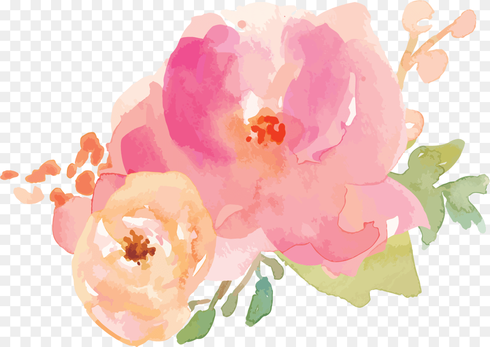 Pastel Colors Floral, Flower, Plant, Petal, Baby Png