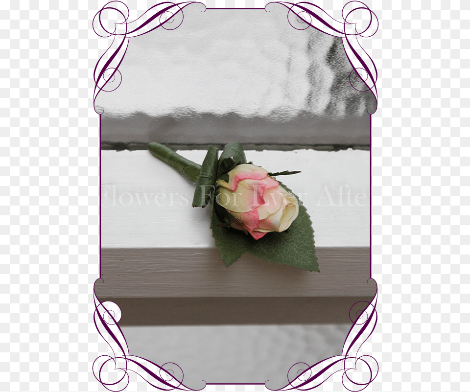 Pastel Coral Groomsman Boutonniere Flowers For Ever Flower Bouquet, Flower Arrangement, Flower Bouquet, Plant, Rose Png Image