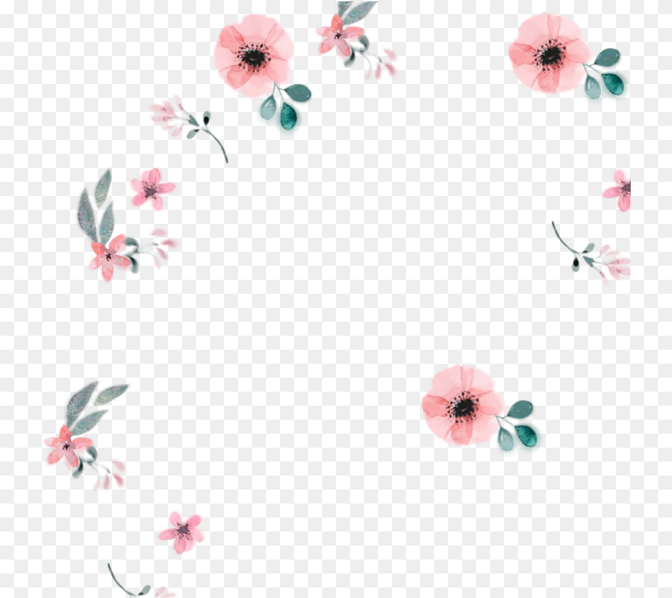 Pastel Floral Watercolor Background, Flower, Petal, Plant, Anemone Png Image