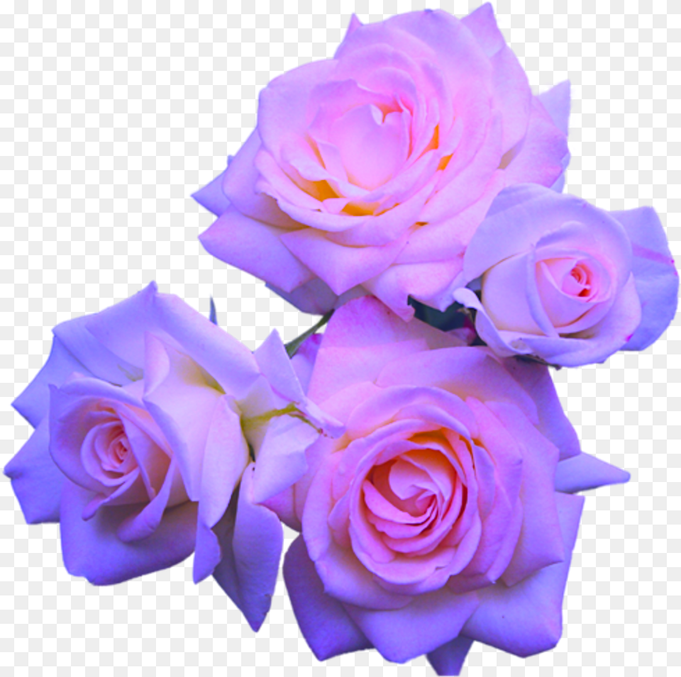 Pastel Flowers Transparent Background, Flower, Flower Arrangement, Flower Bouquet, Plant Free Png Download