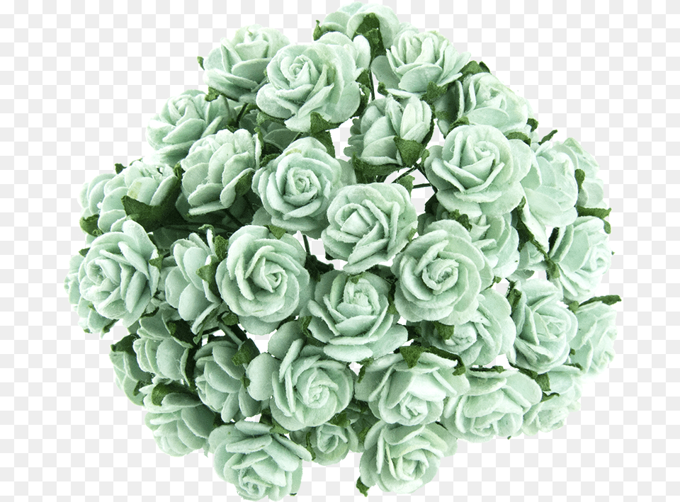 Pastel Green Mulberry Paper Open Roses Lovely, Rose, Plant, Pattern, Flower Free Png Download