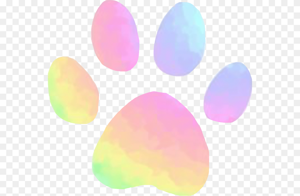Pastel Paw Print Rainbow Aesthetic Cute Pink Pastel Dog Paw Print, Flower, Petal, Plant, Accessories Png Image