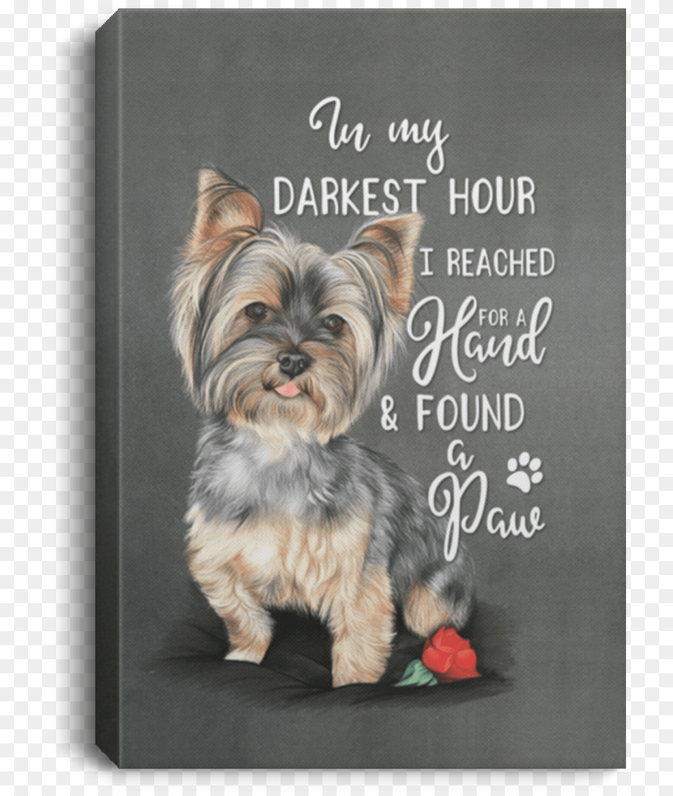 Pastel Pictures Of Yorkshire Terrier, Envelope, Greeting Card, Mail, Animal Free Png