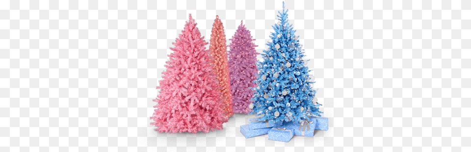 Pastels Christmas Trees Decorating In Blue, Plant, Tree, Christmas Decorations, Festival Png Image