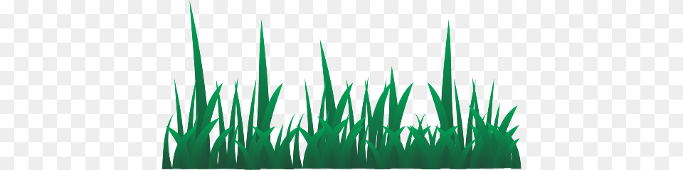 Pasto Dibujo Image, Grass, Green, Lawn, Plant Free Png