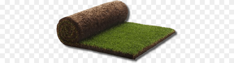 Pasto En Rollo Medallion Turf 1m2 Rolls Quantity Of, Grass, Moss, Plant, Mat Png Image