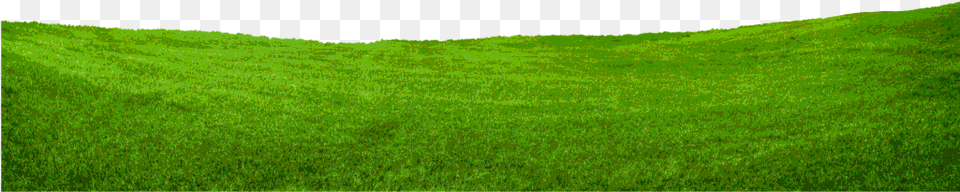 Pasto Grass, Lawn, Plant, Green, Vegetation Free Transparent Png