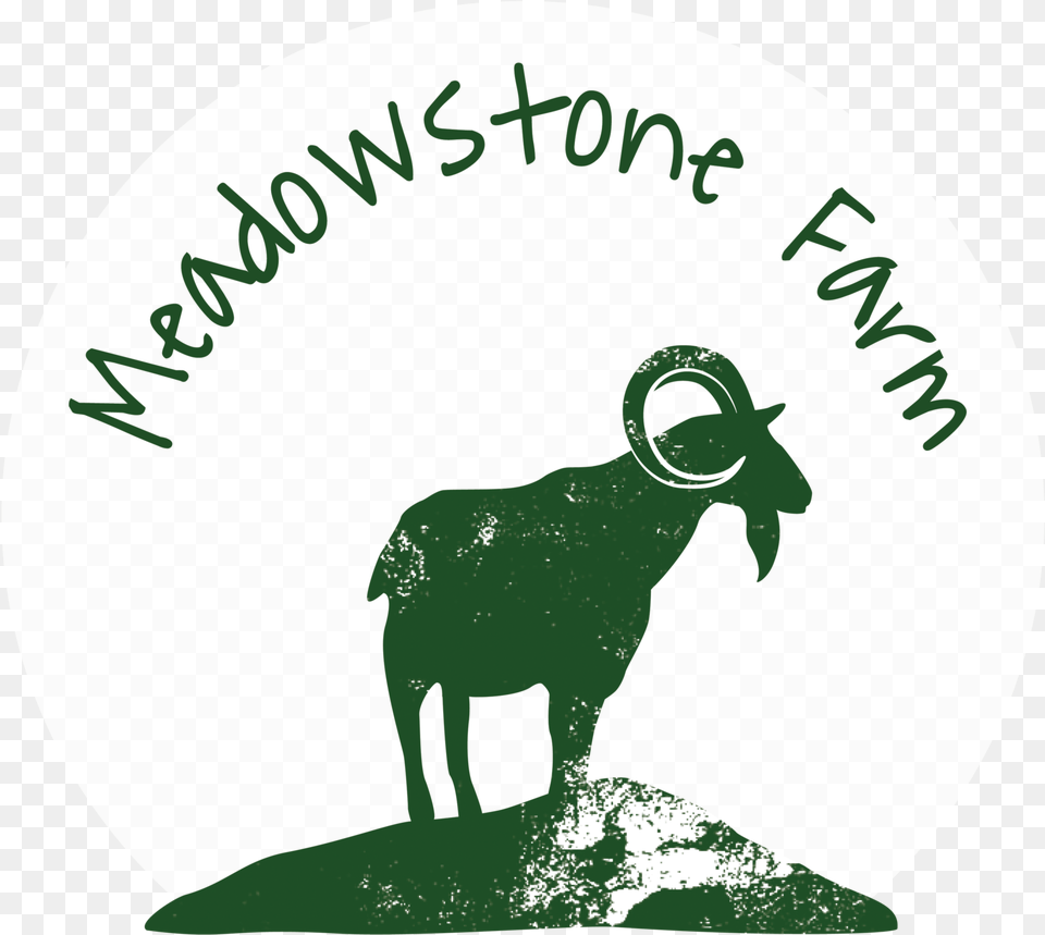 Pastured Animals Meadowstone Farm Bighorn, Livestock, Animal, Goat, Mammal Png