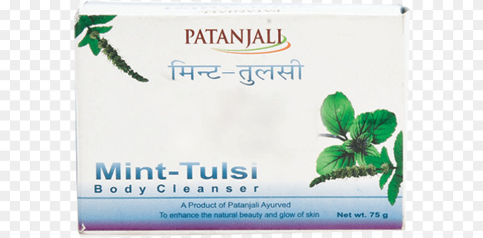 Patanjali Ayurved, Herbal, Herbs, Plant, Mint Free Png