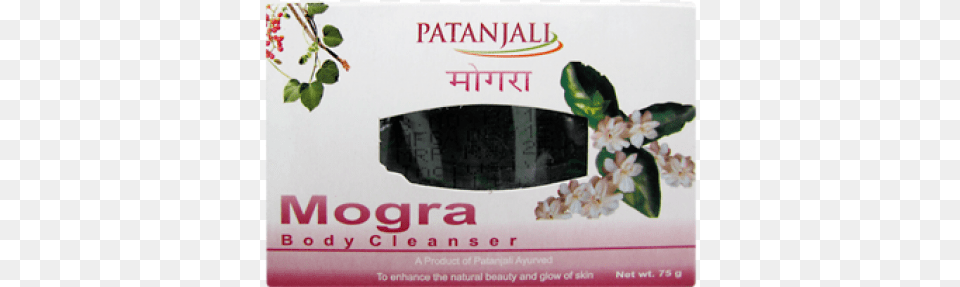 Patanjali Mogra Body Cleanser, Advertisement, Herbal, Herbs, Plant Free Png