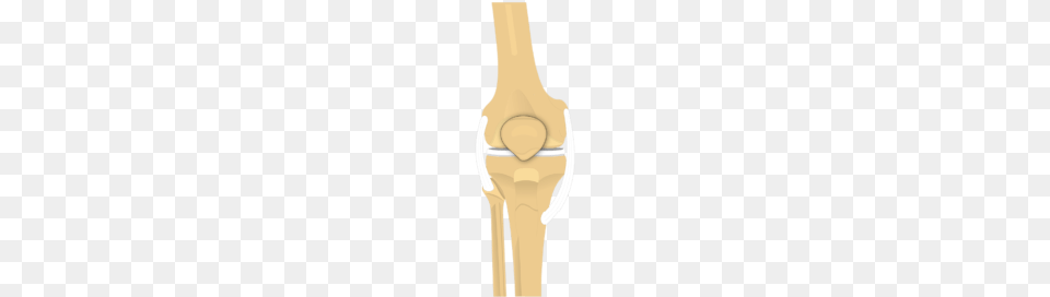 Patella Bone, Cutlery, Fork, Person, Wristwatch Png