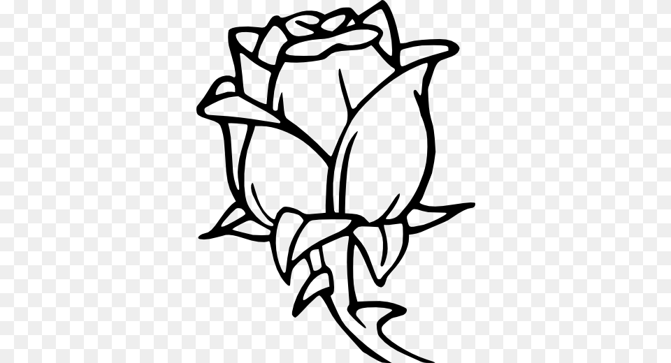Paterns Coloring Pages, Flower, Plant, Rose, Stencil Png