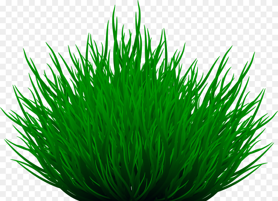Path Clipart Grass Path Free Transparent Png