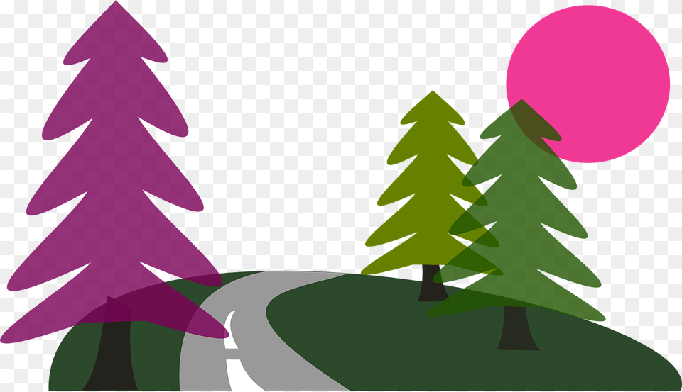 Path Clipart Street Road, Tree, Plant, Fir, Christmas Free Png Download
