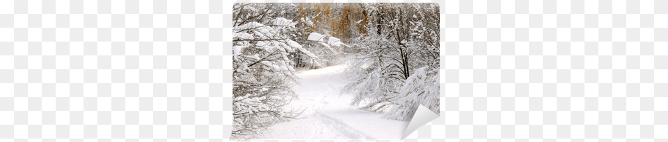 Path In Winter Forest After A Snowfall Wall Mural Winter, Blizzard, Nature, Outdoors, Snow Png Image