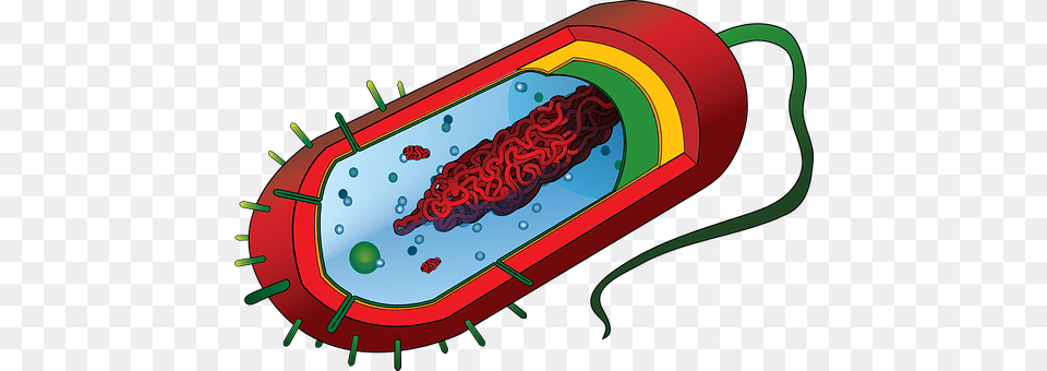 Pathogen Dynamite, Weapon Free Png