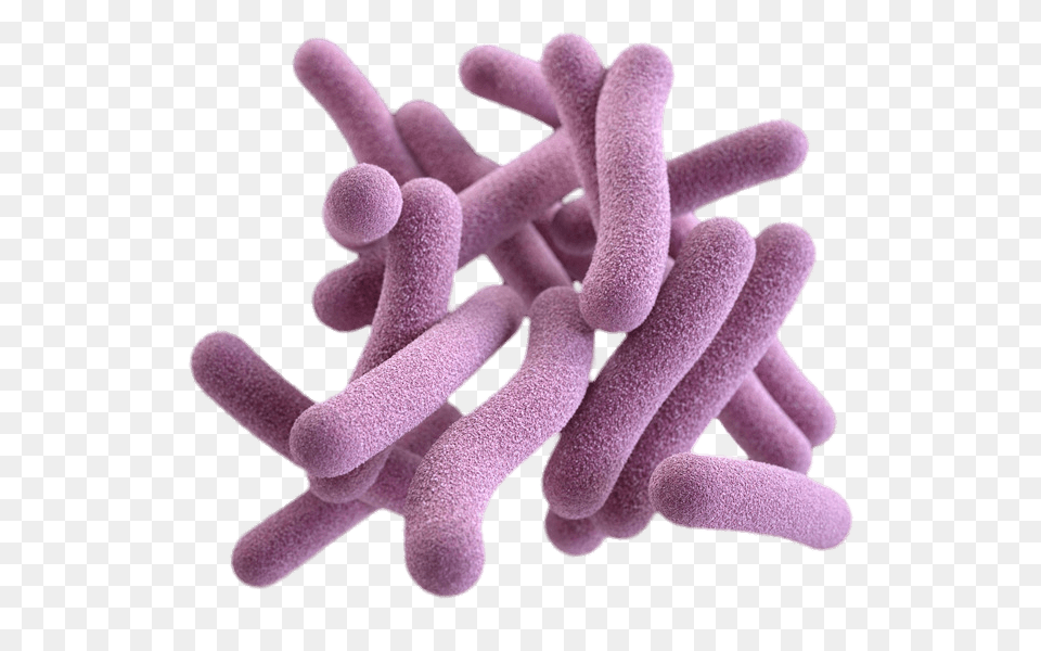 Pathogenic Bacterias, Plant, Pollen, Clothing, Glove Free Png