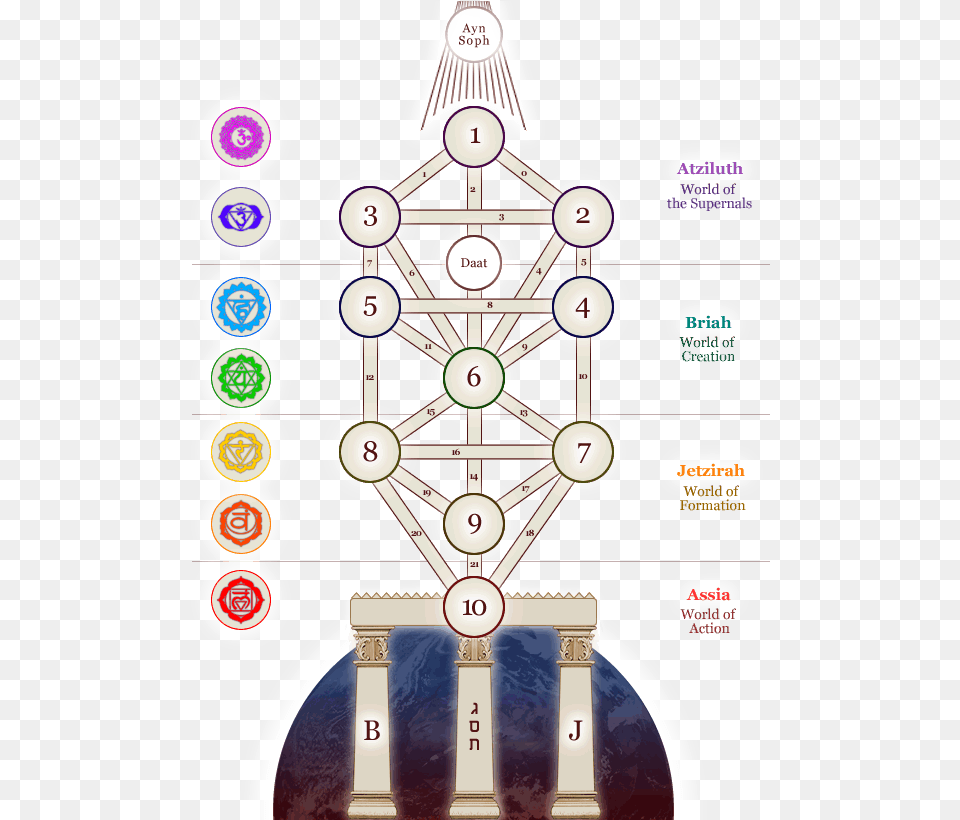 Paths Of The Tree Of Life, Text Free Png