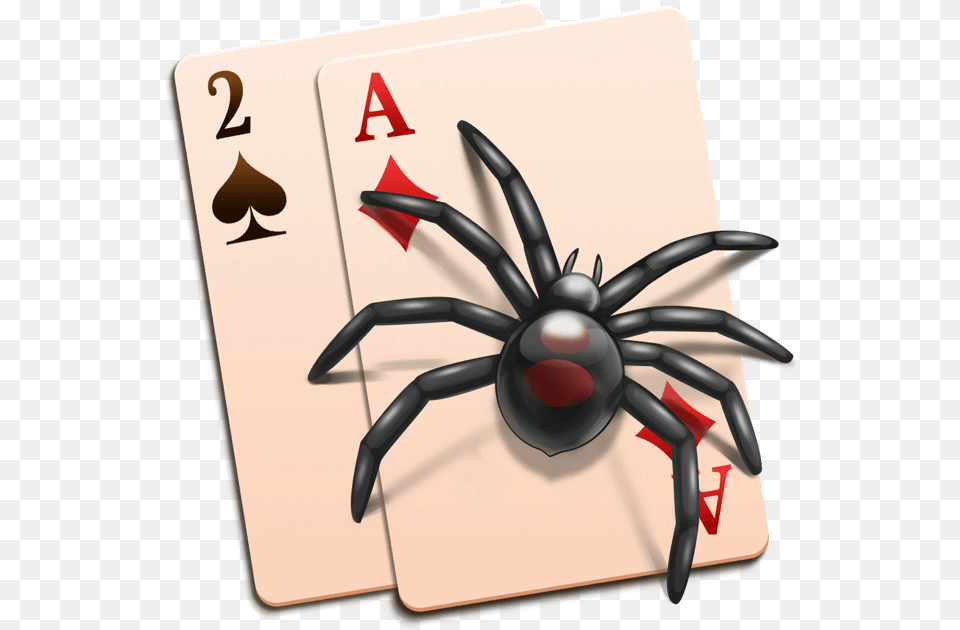 Patience, Animal, Invertebrate, Spider, Appliance Free Png