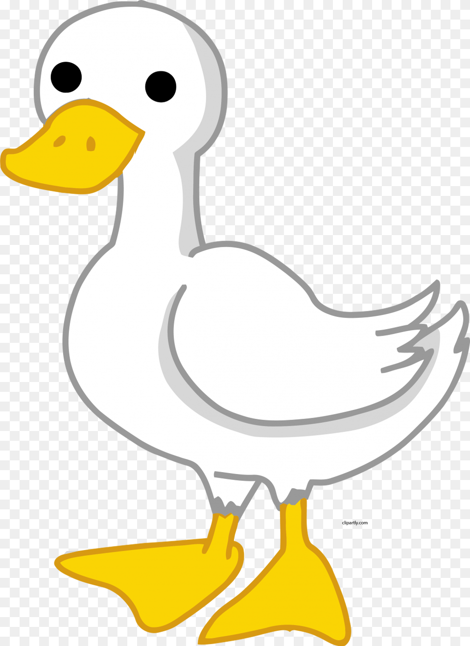 Pato Dibujo Para, Animal, Beak, Bird, Duck Free Png Download