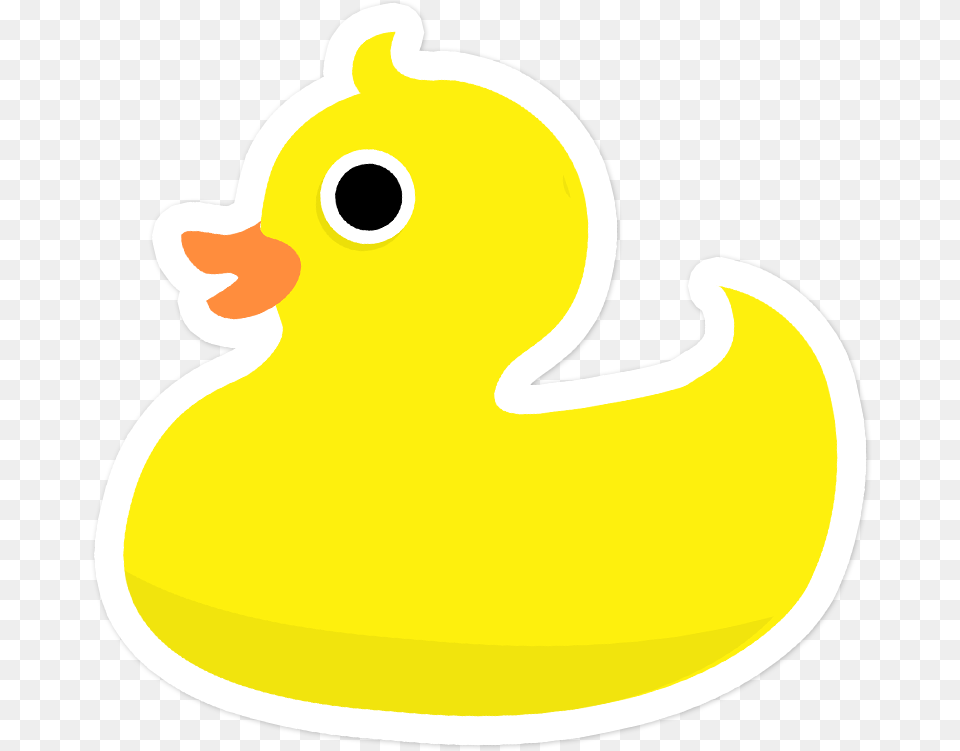 Pato Download Duck, Animal, Bird Free Png