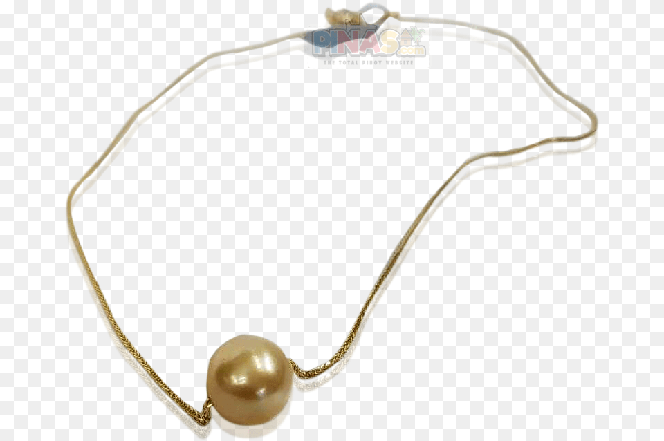 Patricia Necklace, Accessories, Jewelry, Bracelet, Pearl Free Png