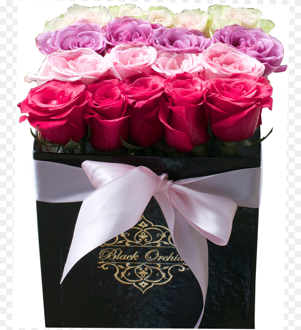 Patricia Roses In The Box Flowers In Bouquet Roses Box, Flower, Flower Arrangement, Flower Bouquet, Plant Png Image