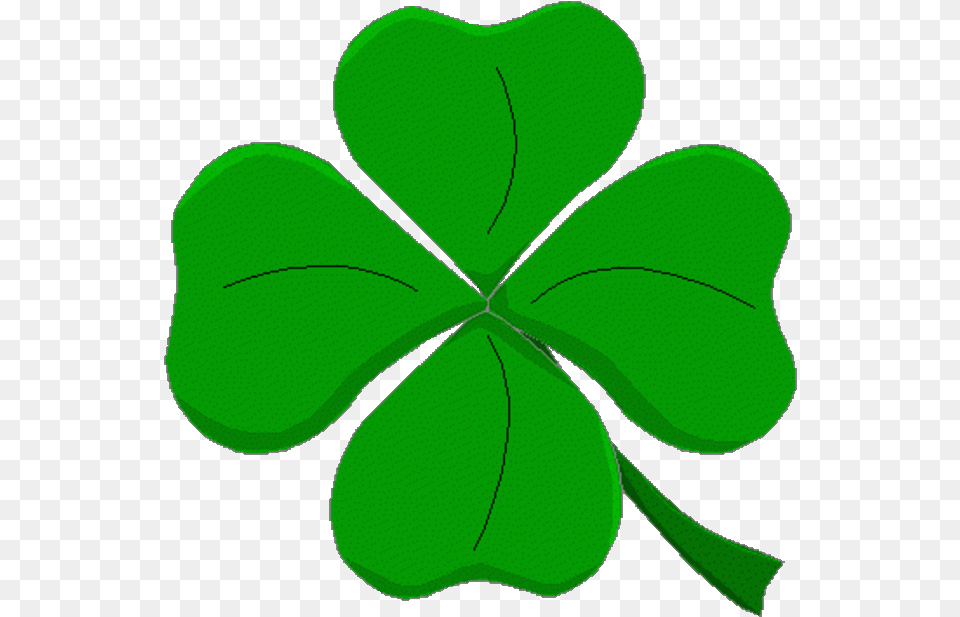 Patrick S Day Playlist Four Leaf Clover, Plant, Green, Flower, Geranium Free Png