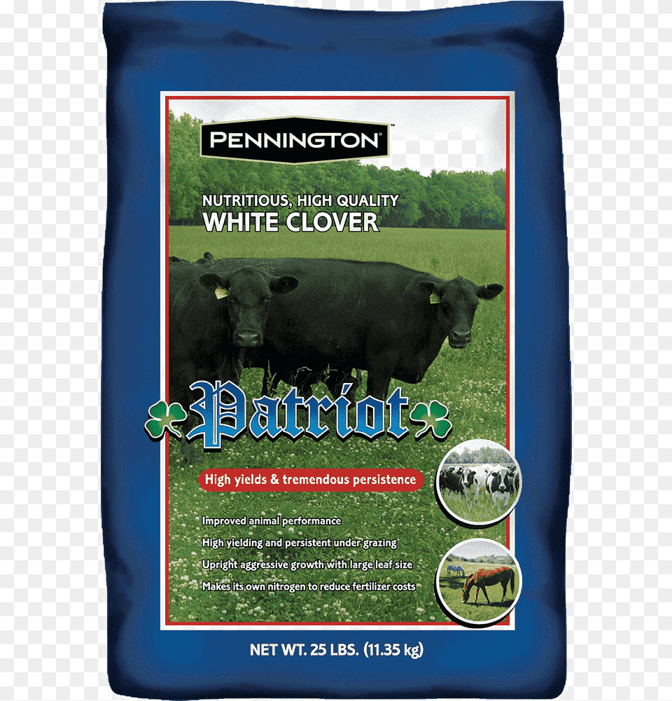 Patriot Clover Seed Bison, Cow, Angus, Animal, Bull Png