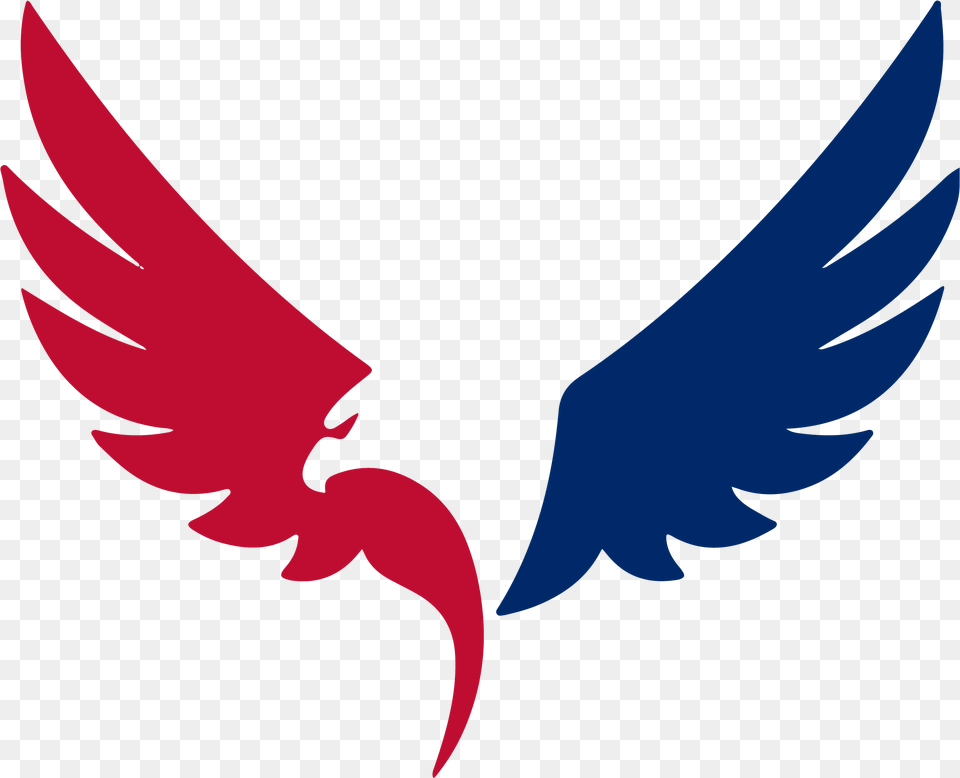 Patriot Power Washing Black Eagle Logo, Animal, Bird, Flying, Vulture Free Png Download