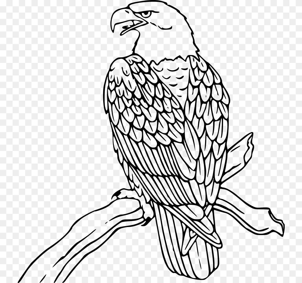 Patriotic Eagle Clip Art, Gray Png