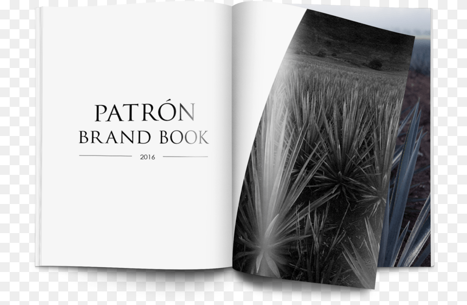 Patron Bb1 Book Cover, Publication, Advertisement, Plant Png