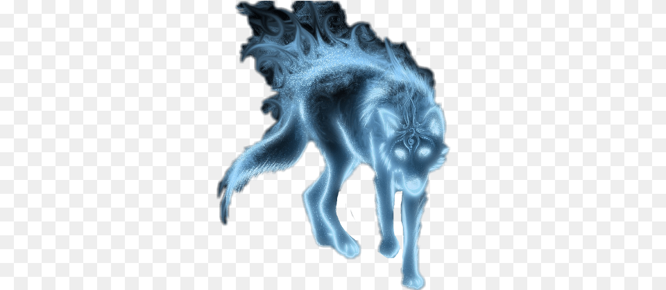 Patronus Harry Potter Wolf Backgrounds, Accessories, Baby, Person Free Transparent Png