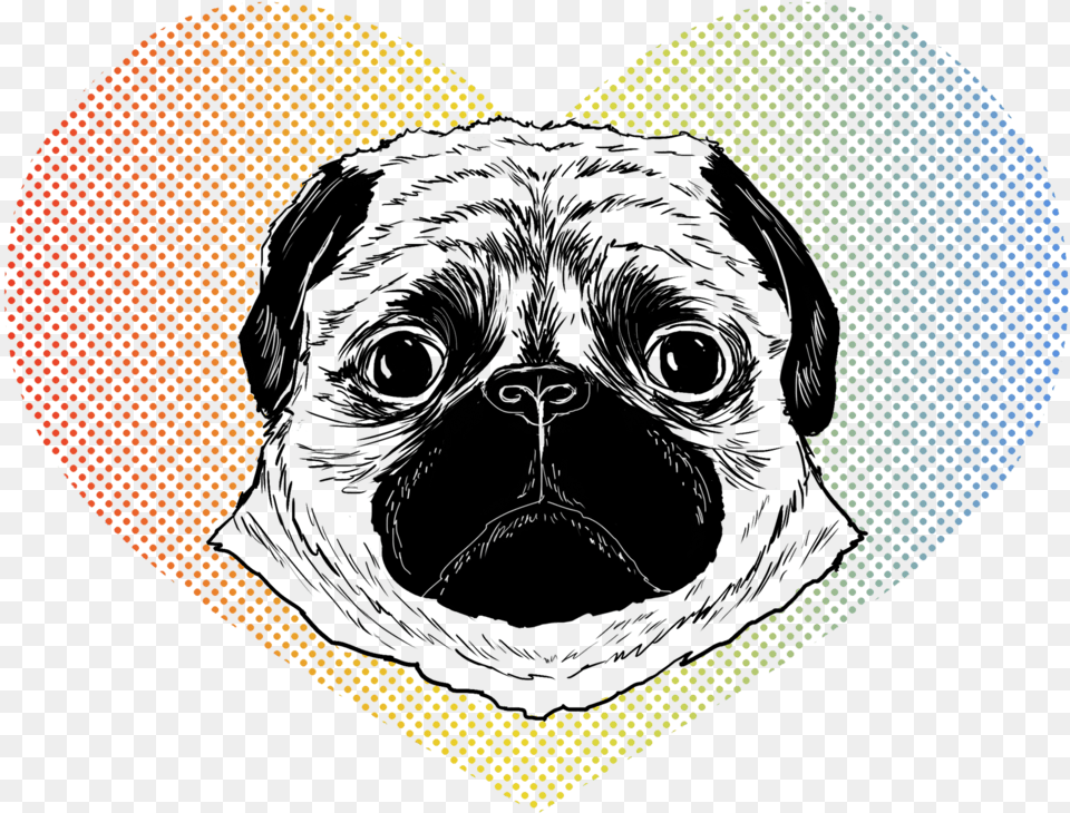 Patrycjaruman Pugface Pug Pug, Logo, Person Free Png Download