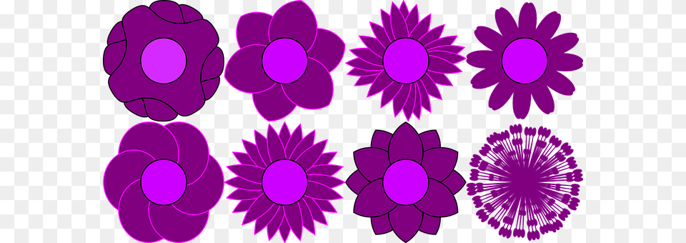 Pattern Flower, Purple, Dahlia, Daisy Png
