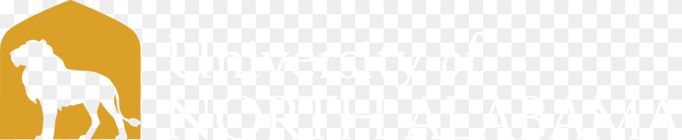 Pattern, Art Free Png Download