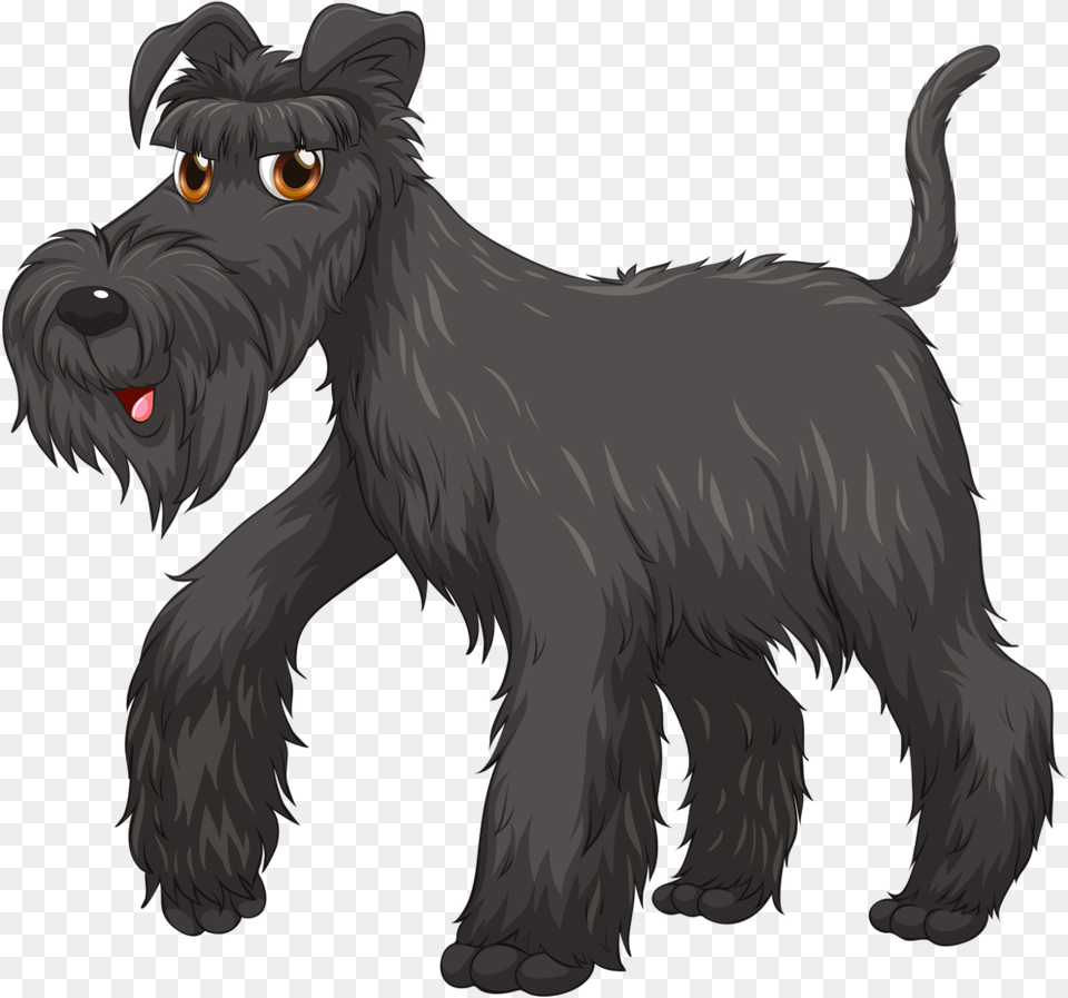 Pattern And Schnauzer, Animal, Canine, Mammal, Dog Free Png Download