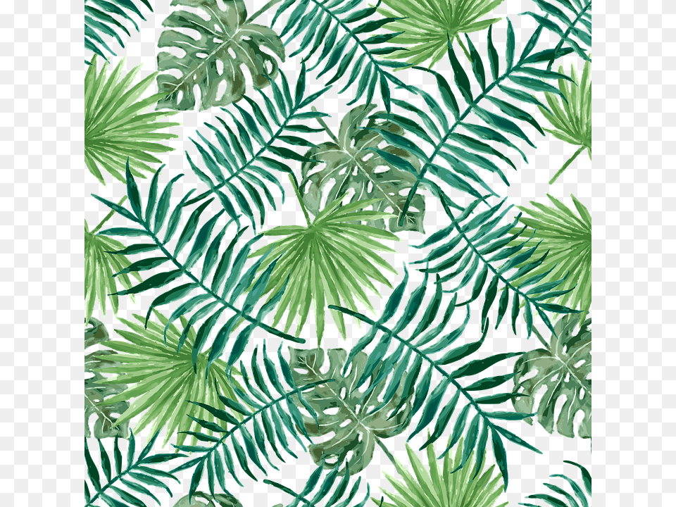 Pattern Design Leaf Palm Fabric Green Plant Seamless Jason Body Wash Men, Fern, Tree, Vegetation, Food Free Transparent Png