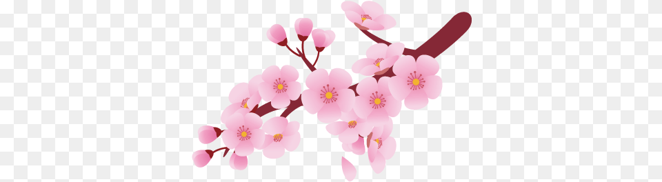 Pattern Drawing Cherry Blossom Flower Cherry Blossom Clipart, Plant, Cherry Blossom, Chandelier, Lamp Png
