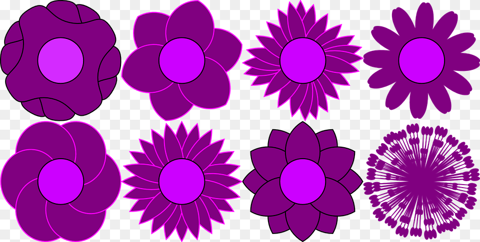 Pattern Flower Floral Bloom Violet, Purple, Dahlia, Daisy, Plant Png
