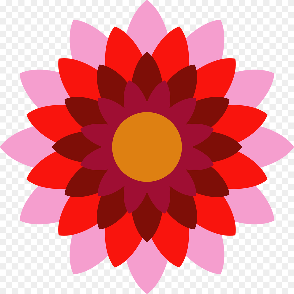 Pattern Point Star Clipart, Dahlia, Flower, Plant, Daisy Png