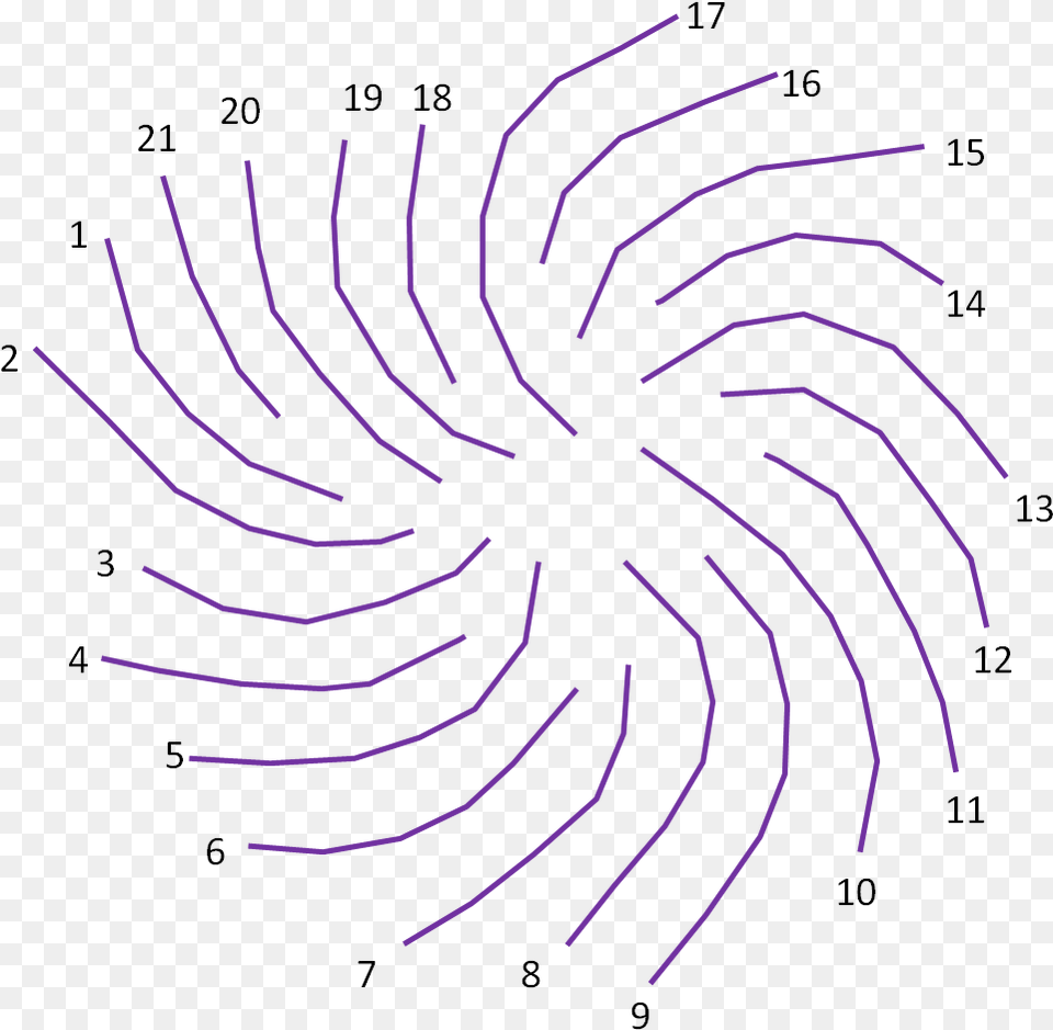 Pattern Sunflower Seed Fibonacci Clockwise Counterclockwise, Fireworks, Person Png Image